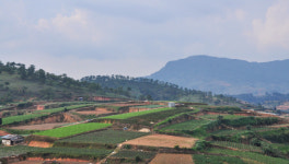 농업진흥지역 일부 규제 푼다