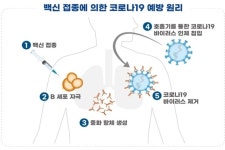 국내 개발 코로나19 백신(1상)·치료제(2상) 임상 승인