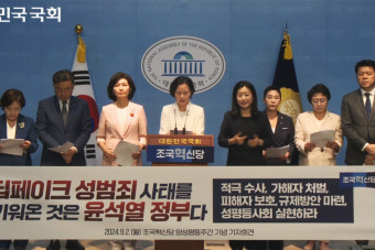 조국혁신당, 