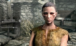 [올해의게임] 이것은 애증인가? 바닐라 맛 엘더스크롤5: 스카이림 SE