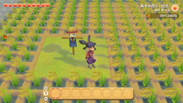 목장이야기 올리브 타운과 희망의 대지, 천수의 사쿠나히메 컬래버레이션 공개