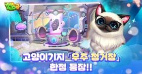 고양이 3매치×집꾸미기 게임 ‘캣츠홈’ 추수감사절 이벤트 실시