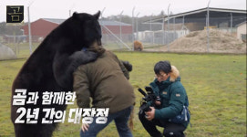 다큐 곰 김진만 PD 귀엽고 친근하지만, 맹수라는 이중성이 곰의 매력