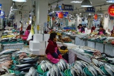 요즘 뜨는 여행지 주문진에 가서 맛집도