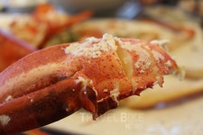 설악산 찍고, 맛집 찍고! 속초 당일치기 여행