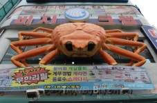 제철만난 대게 탐방 속초맛집으로