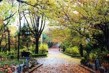 역사 속으로 주말여행...인천 맛집에서 마무리