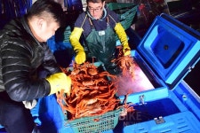 오감 만족 강릉, 맛집 찾아 떠나는 별미여행
