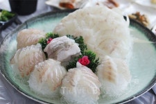 연말연시 여행은 강릉, 주문진 맛집으로 떠나는 주말여행