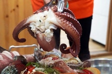 국내 여행 버킷리스트 1순위 통영 중앙전통시장 맛집을 가다