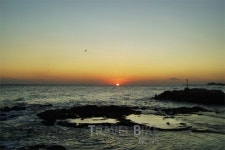 해돋이는 아무래도 동해, 대게는 강릉 주문진맛집