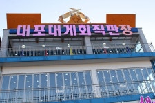 `희망이 솟는다` 속초 일출 여행, 대포항 맛집 게맛은 `덤`