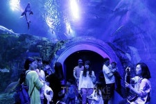 주말여행, 단양에서 가볼만한 단양팔경, 야경팔경 그리고 맛집