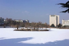 낭만 캠퍼스 산책하고 회전초밥 어때요 건대 맛집