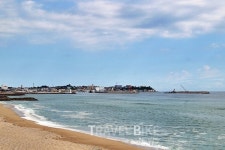 도깨비 촬영지에서 만난 강릉 주문진 맛집