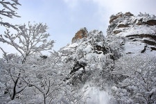 눈 내린 설악산 보러 갔다가 속초 맛집에서 게찜 먹었네