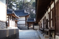 봄방학에 꼭 가봐야 할 강릉 가족여행지와 강릉 맛집은 어디?