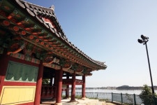 도깨비도 반한 동해안과 강릉 주문진 맛집 여행