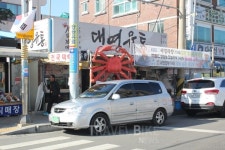 봄맞이 여행 이색적인 강릉 여행 그리고 주문진 맛집