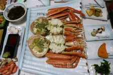 봄맞이 여행 이색적인 강릉 여행 그리고 주문진 맛집