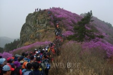 봄찾아 떠나기 좋은 여수여행 그리고 맛집