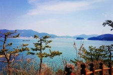 먹어 봤나통영 서호시장 맛집 해물짬뽕