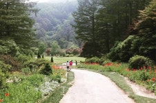 춘천 가볼만한 곳 베스트 아침고요수목원 강촌 맛집