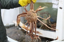 즐길 거리 가득한 강릉 가족여행 이색 박물관 여행은 어때요?