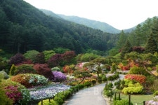 낭만이 깃든 남이섬과 가평 힐링여행 그리고 맛집