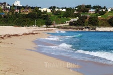 강릉 주문진 맛집 찾아가는 봄 여행 대게, 가장 맛좋을 때 먹어라!