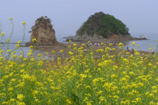 몸과 마음 편안해지는 안면도에서 힐링하자! 산책 후 방문하는 게국지 맛집