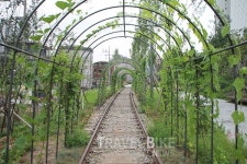 돌아온 경춘선, 이색적인 산책 속에 찾는 특별함