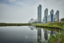 인천김포고속도로 개통 봄 여행길도 빨라진다