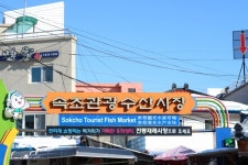 이색 콘텐츠로 재미 2배 활력충전 속초여행 그리고 맛집