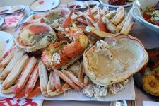 속초 봄맞이 여행, 속초 설악벚꽃축제와 대게 맛집