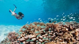 따뜻한 바다를 향해, 천국을 향해 뛰어들다 스쿠버 다이빙