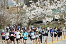 춘천 대표 축제 호반마라톤, 16일 개최