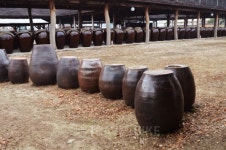 이색 박물관이 가득 포천 가볼 만 한 곳과 맛집은 어디?