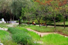 동탄 갈만한곳, 힐링의 명소 물향기수목원과 회식장소, 고기집 맛집 추천