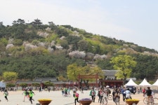 [주말 여행] 화성을 따라, 역사를 따라 수원여행, 맛집도 즐겨요