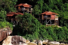 숲속 오두막에서의 하룻밤 트리하우스 어때