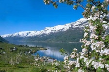 겨울왕국의 무대, 노르웨이 피오르의 관문 베르겐