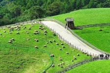 실내수영장에 스파까지... 풀빌라펜션, 국내여행에 변화의 바람
