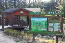 시원한 주말, 가족여행지 찾는다면 가평이 정답