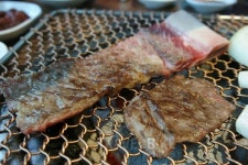 용인 에버랜드 여름 물축제에서 시원한 하루를! 맛집 정보 알아가야