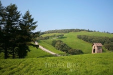 [주말여행] 강원도 평창, 강릉, 대관령 인기몰이! 수영장 시설 갖춘 국내 풀빌라펜션 선호