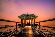 속초 꼭 가볼만한 곳 1순위 동명항맛집 아시나요