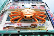 바다가 부른다 속초 주말여행 출발...좌표는 속초대게맛집