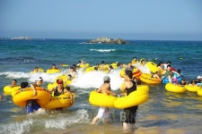 [동해안 해수욕장] 파도 넘실 강릉에서 더위 쫓고 주문진 맛집에서 보양하자