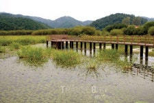 이*성(경남80배**08) | [국내여행] 마음의 근심 덜어내는 경남 여행, 테마가 있는 합천 여행